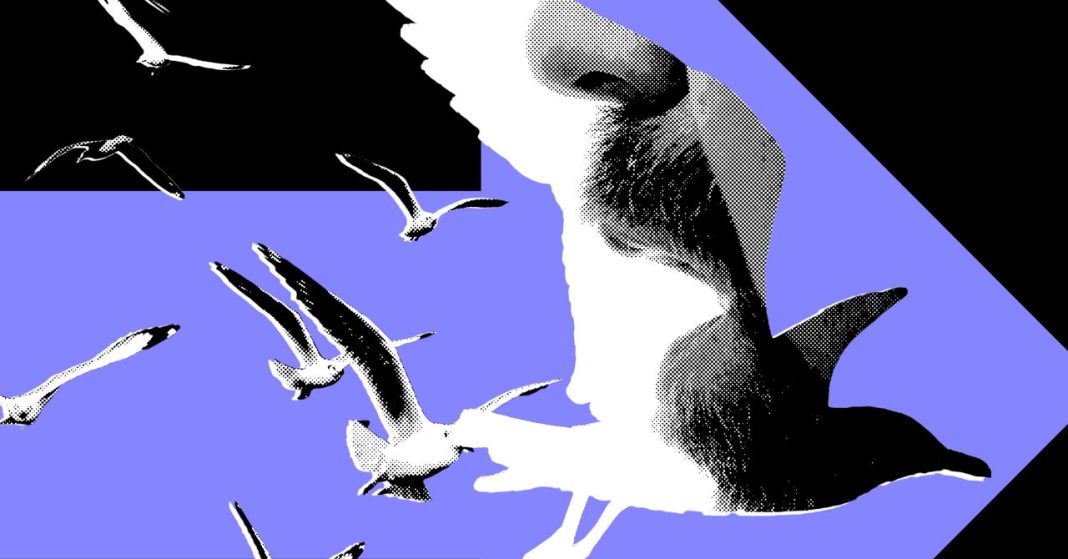 The Most Powerful Politics Influencers Barely Post About Politics