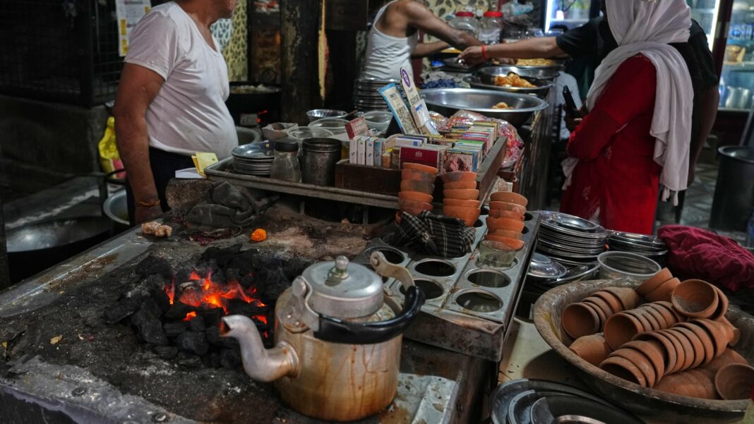 Energy shock ripples through kitchens, forests and conservation in Africa and South Asia